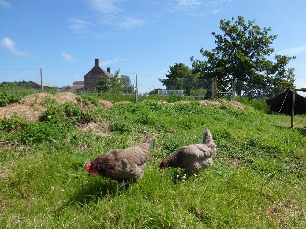 Manor Farm Stay Sutton-on-Sea Ngoại thất bức ảnh